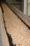 Wood pellets on transporter