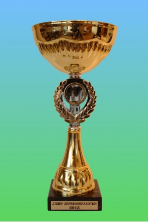 Cup of the Grand Prix of the Competition "Leader of a Woodworking 2013"